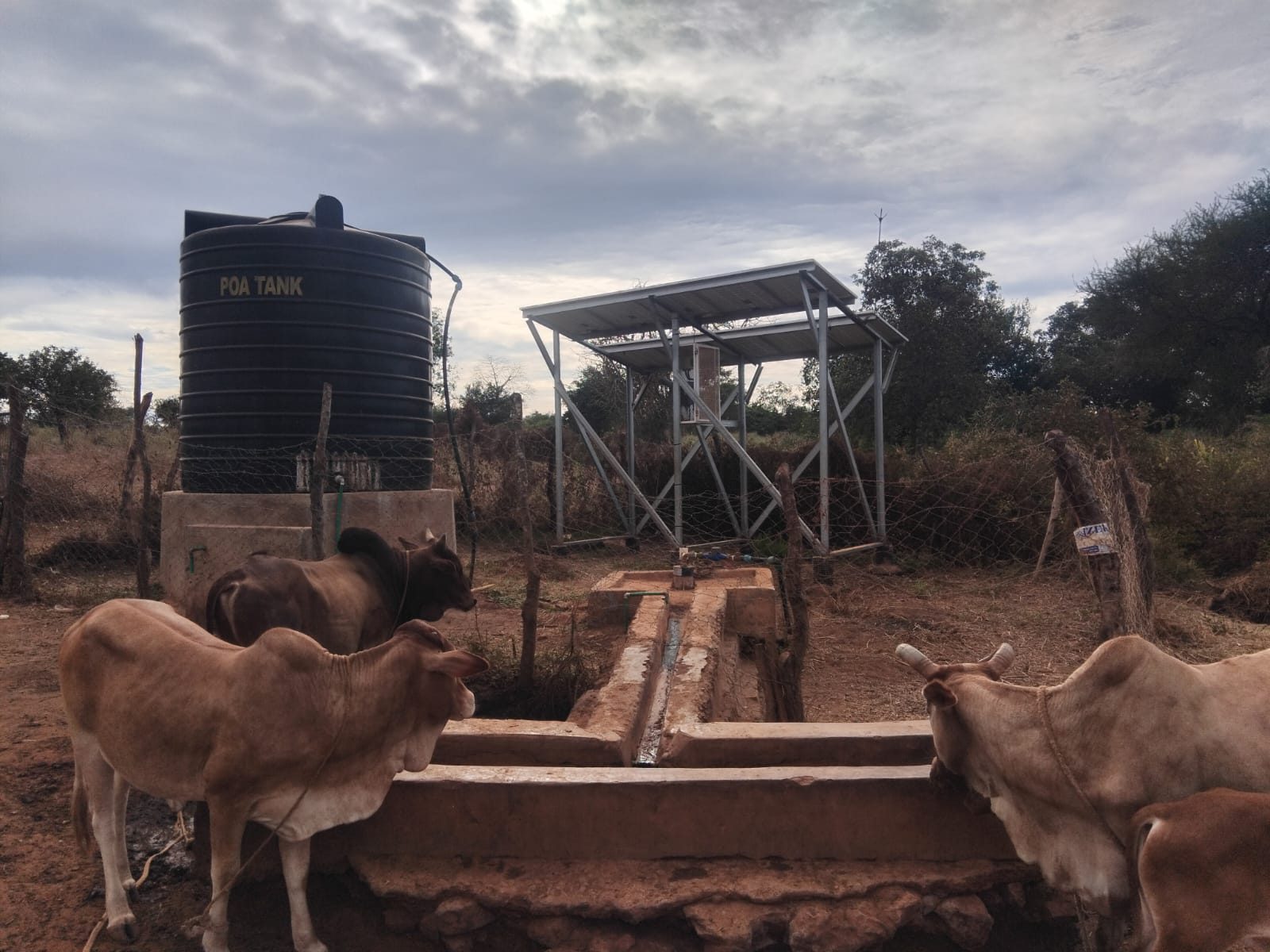 Solar-powered borehole with livestock watering trough
