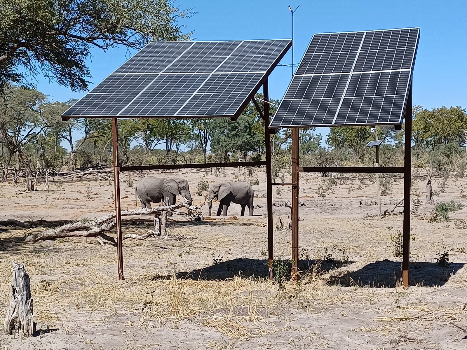 Solar water pumping array in the savanna